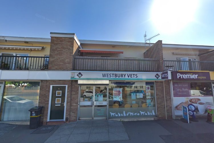 freehold commercial investment bristol