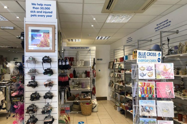 freehold retail and residential investment near me hampshire
