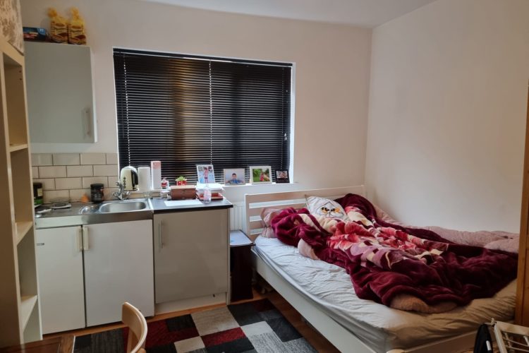 freehold mixed use investment near me sutton, london