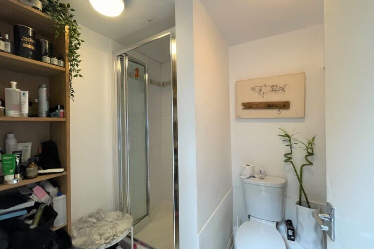 freehold residential investment Finsbury Park, London